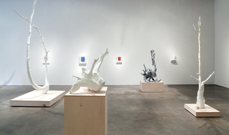Installation view of Object I Nature Photo: Wes Magyar, courtesy Robischon Gallery